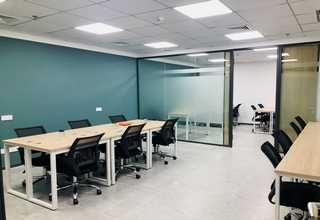 常州耐思（NEST)703011细胞培养板TC处理